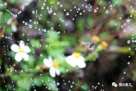 什么的雨填词语，什么的春雨给前面填上合适的词语（岳鑫‖雨）