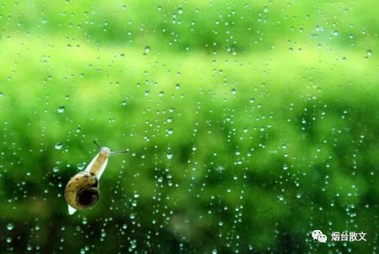 什么的雨填词语，什么的春雨给前面填上合适的词语（岳鑫‖雨）