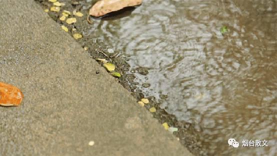 什么的雨填词语，什么的春雨给前面填上合适的词语（岳鑫‖雨）