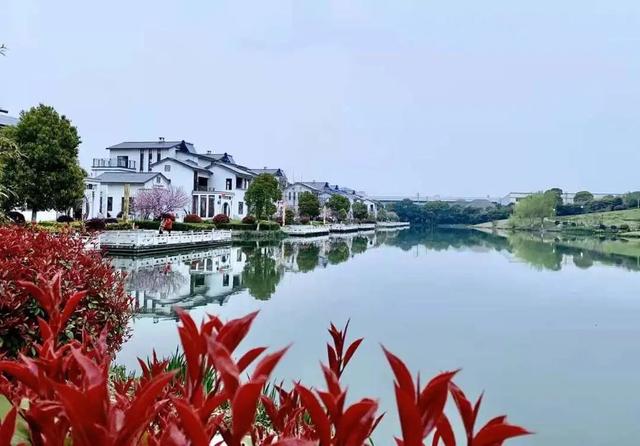 江阴周庄有图书馆吗，江阴市周庄图书馆开放时间（这个村，幸福在流淌）