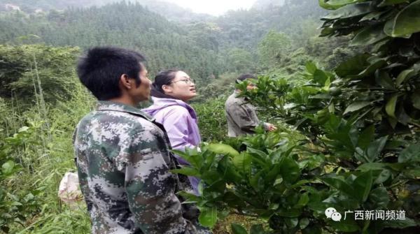 秘密的爱 歌词，歌曲排行（那个叫黄文秀的女孩永远停在了扶贫路上）