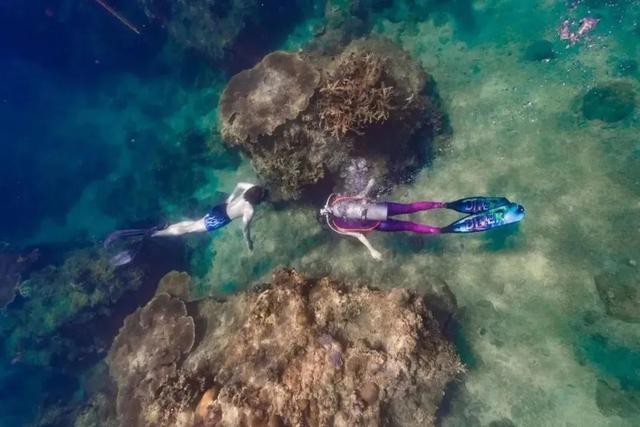 海南潜水地点，海南潜水价格（暑假一起潜入陵水的海底世界）