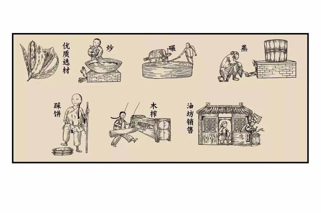 油茶籽油的功效与作用及食用方法，油茶籽油百科（山茶油，真的不简单）