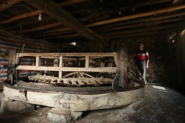 油茶籽油的功效与作用及食用方法，油茶籽油百科（山茶油，真的不简单）