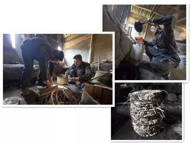 油茶籽油的功效与作用及食用方法，油茶籽油百科（山茶油，真的不简单）