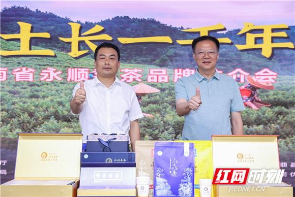 莓茶哪个牌子的正宗好喝，正宗的莓茶推介会在长沙举行