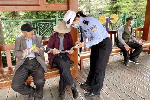 买车需要驾照吗，买车为什么不用驾驶证（“老年代步车”上手就会）