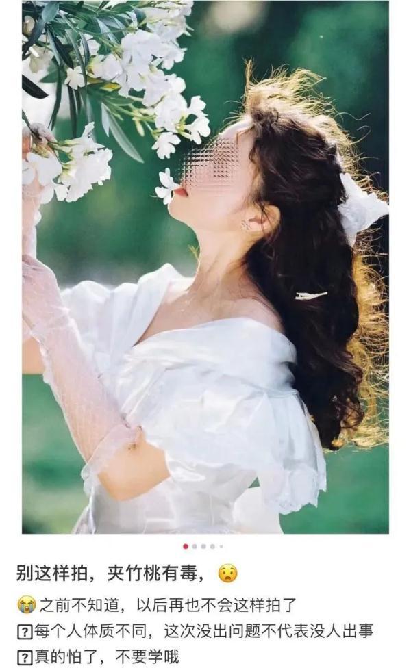 夹竹桃的功效与作用，夹竹桃有毒吗（这种常见花，有毒）