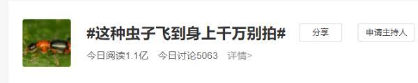 隐翅虫咬人后图片，隐翅虫咬后最有效的处理方法（这种虫子，毒液堪比硫酸）