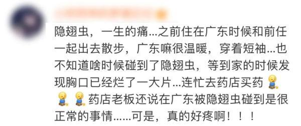 隐翅虫咬人后图片，隐翅虫咬后最有效的处理方法（这种虫子，毒液堪比硫酸）