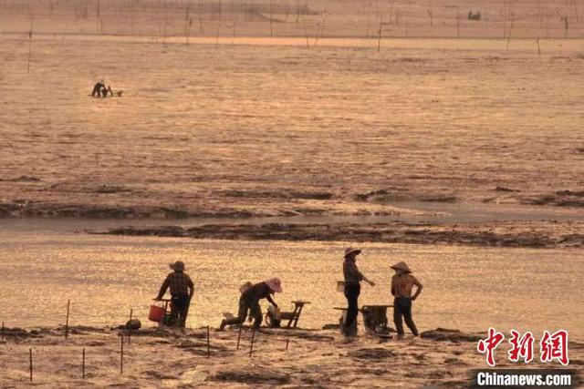 温州是哪个省的，温州属于哪个省（咬定青山不放松——浙江温州生态环境问题谋“清零”）