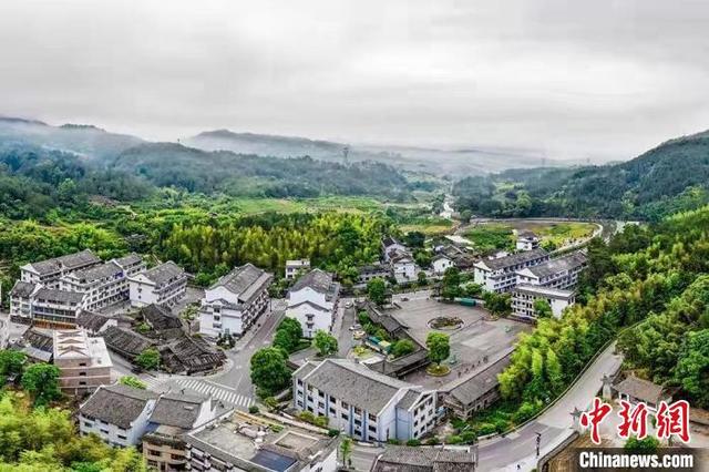 温州是哪个省的，温州属于哪个省（咬定青山不放松——浙江温州生态环境问题谋“清零”）