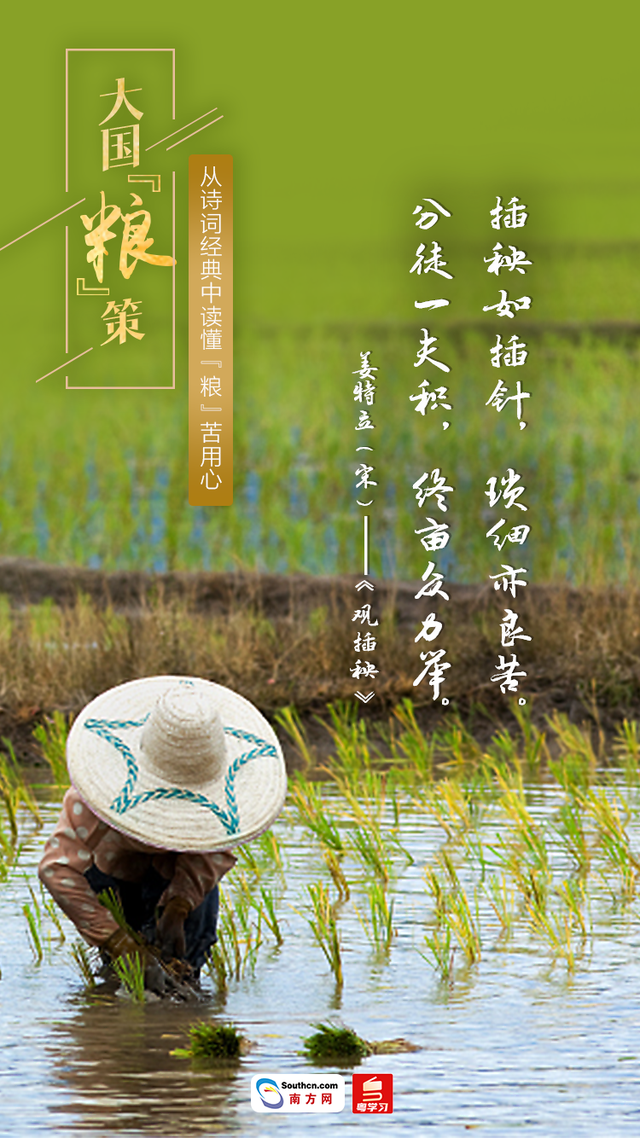 关于节约粮食的古诗，关于节约粮食的诗句有哪些（大国“粮”策丨从诗词经典中读懂“粮”苦用心）