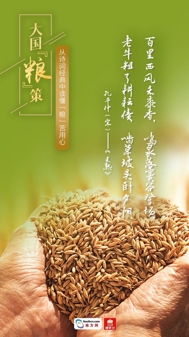 关于节约粮食的古诗，关于节约粮食的诗句有哪些（大国“粮”策丨从诗词经典中读懂“粮”苦用心）