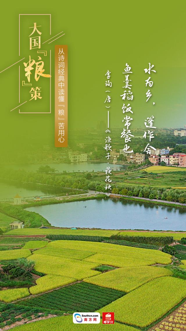 关于节约粮食的古诗，关于节约粮食的诗句有哪些（大国“粮”策丨从诗词经典中读懂“粮”苦用心）