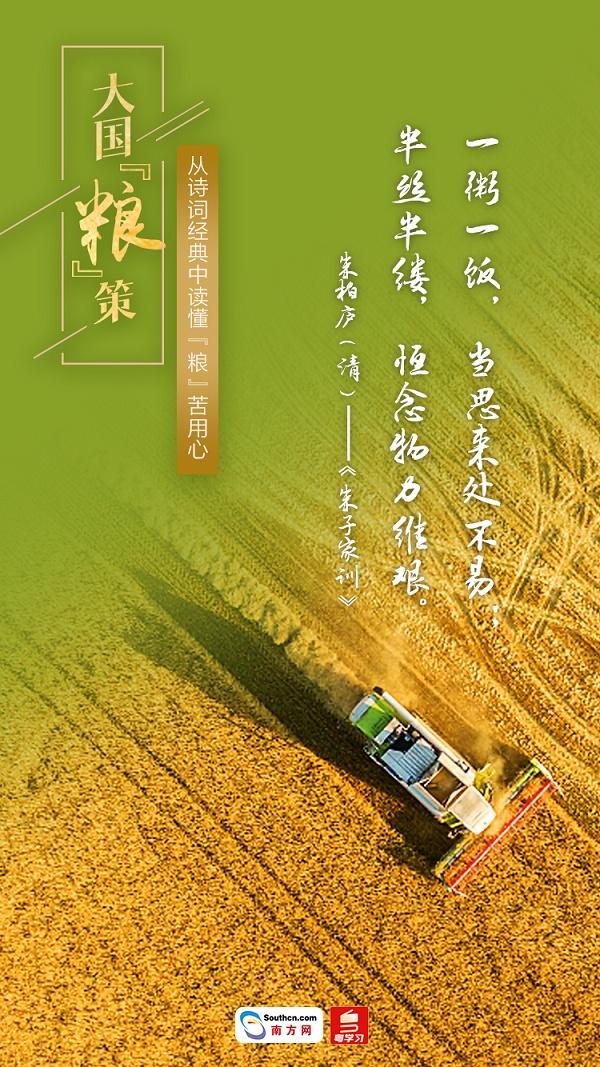 关于节约粮食的古诗，关于节约粮食的诗句有哪些（大国“粮”策丨从诗词经典中读懂“粮”苦用心）
