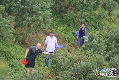 南昌杨梅节，南昌杨梅采摘（外地游客直夸武宁杨梅好吃）