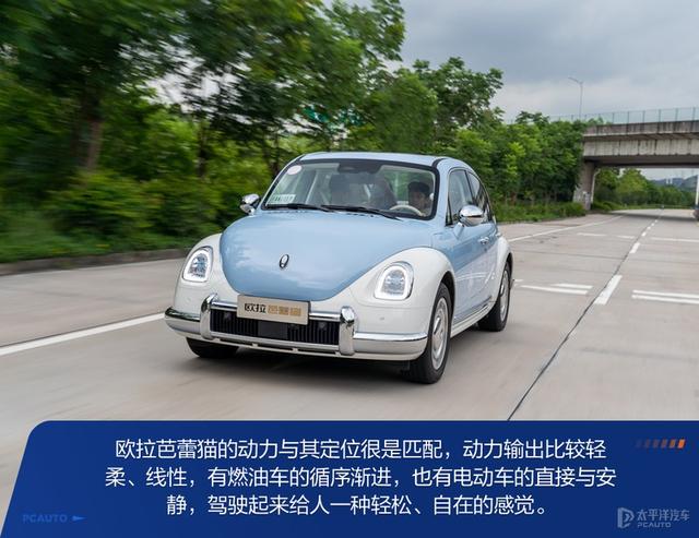 内宠爱（婚内宠爱），芭蕾猫和smart谁更香（大宠爱是内外驱吗）