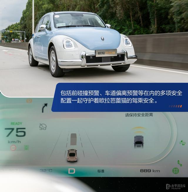 内宠爱（婚内宠爱），芭蕾猫和smart谁更香（大宠爱是内外驱吗）