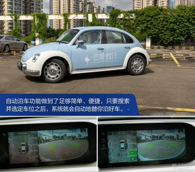 内宠爱（婚内宠爱），芭蕾猫和smart谁更香（大宠爱是内外驱吗）