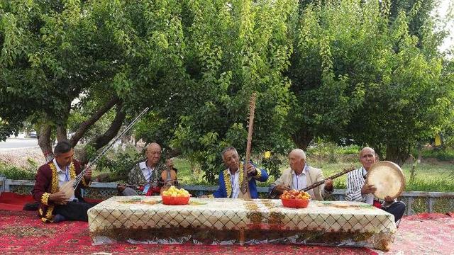 收获节的活动，求问收获节成就怎么做（共筑“杏”福人生——2022年阿克苏地区乡村文化旅游节系列活动之柯坪县第四届黄杏采摘节开幕）