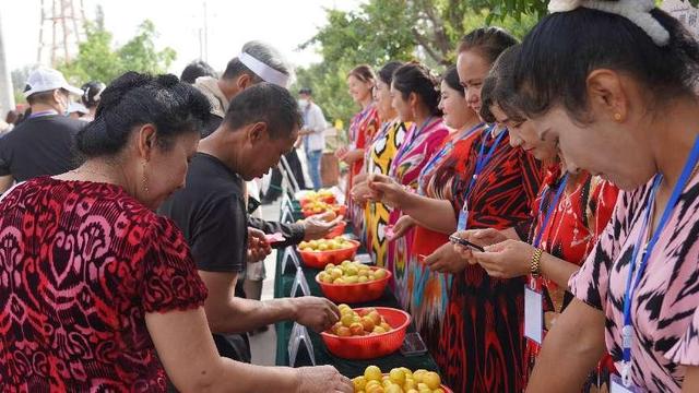 收获节的活动，求问收获节成就怎么做（共筑“杏”福人生——2022年阿克苏地区乡村文化旅游节系列活动之柯坪县第四届黄杏采摘节开幕）