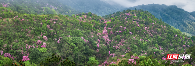 湖南省海拔最高十大山，走进“多山之县”领略“炎陵十峰”