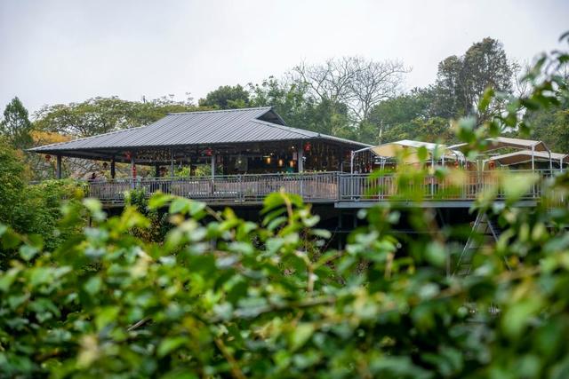 咖啡杯子哪种材质好，什么样的咖啡杯（咖啡“小庄园”延伸产业“长链条”）