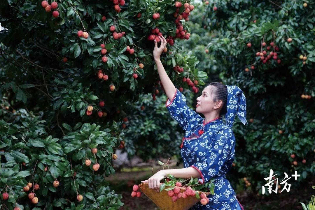 广州增城特产有哪些，广东增城特产（增城，火“荔”全开）