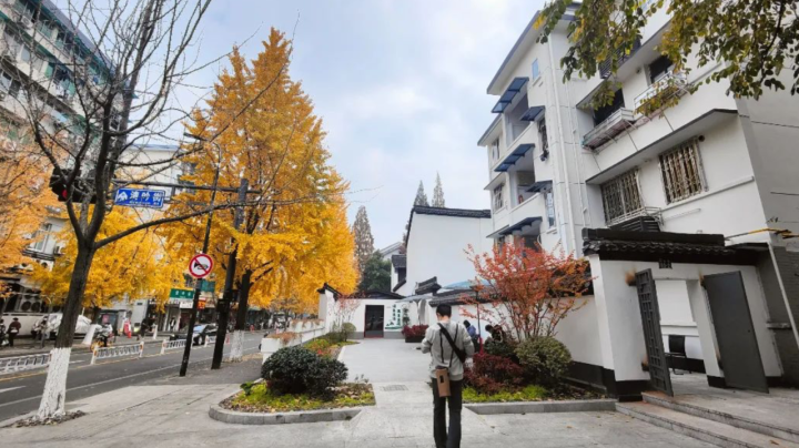 杭州高档小区名单(杭州独栋别墅哪里最好)