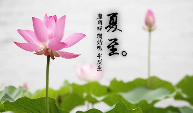 夏至是什么意思，二十四节气之夏至