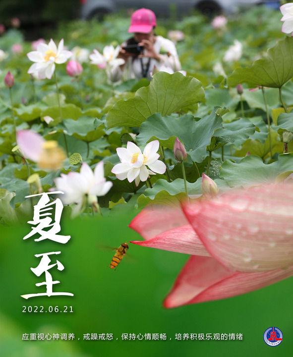 七月是盛夏还是仲夏,海报丨6月21日17时14分夏至