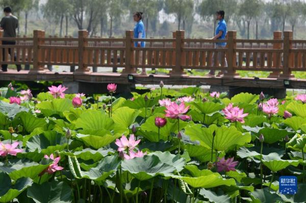 100kw用多大的电缆，100kw380v用多大电缆（生态黄河 幸福家园）