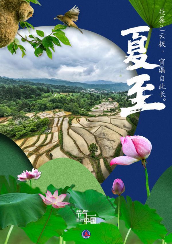 田野里有什么，秋天的田野里有哪些景象（丰收的味道在田野间弥漫）