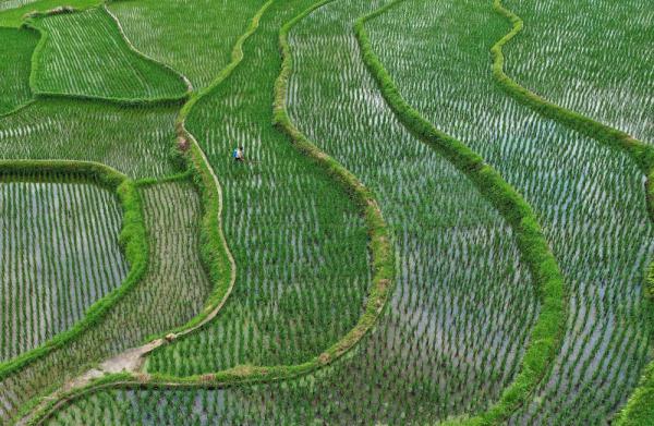 田野里有什么，秋天的田野里有哪些景象（丰收的味道在田野间弥漫）