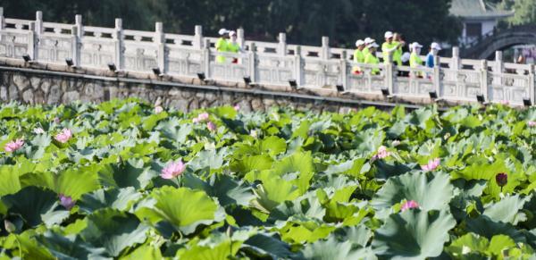 田野里有什么，秋天的田野里有哪些景象（丰收的味道在田野间弥漫）