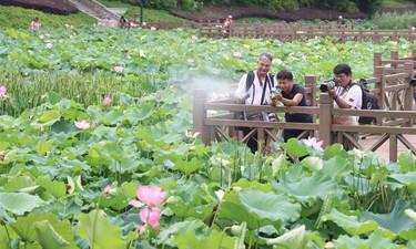 广西毕业生（每人1500元）