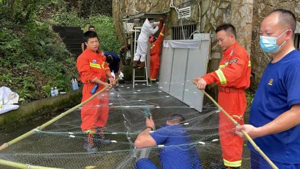 蝙蝠害怕什么动物，蝙蝠最怕是什么（黄果树景区一宾馆被160只蝙蝠攻占……）