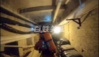 蝙蝠害怕什么动物，蝙蝠最怕是什么（黄果树景区一宾馆被160只蝙蝠攻占……）