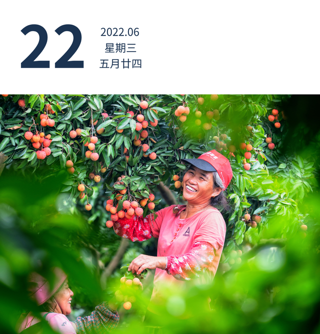 广东高考分数什么时候公布，2022广东高考分数线公布时间（广东高考成绩将于6月24日公布）