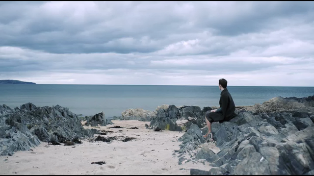 真实了是什么意思，真实什么意思（我们如何理解那些最为普通的词语）