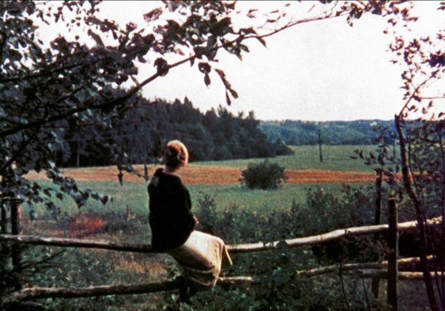 真实了是什么意思，真实什么意思（我们如何理解那些最为普通的词语）