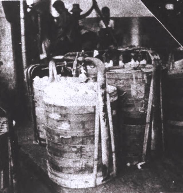 杨梅树适合在哪里种植，杨梅种在哪里比较好（火焰蜜珠：梅雨季里忆杨梅）