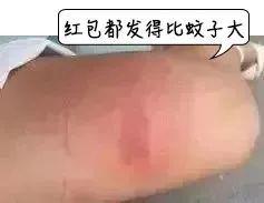 白蚁是什么样子，白蚁是什么样子的图片大全（掌握5招让它们退）