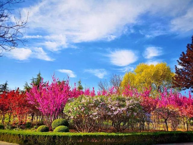 山东交通职业学院学费，2021年山东交通职业学院学费标准_学费多少钱一年（山东交通职业学院发布2022年招生计划）