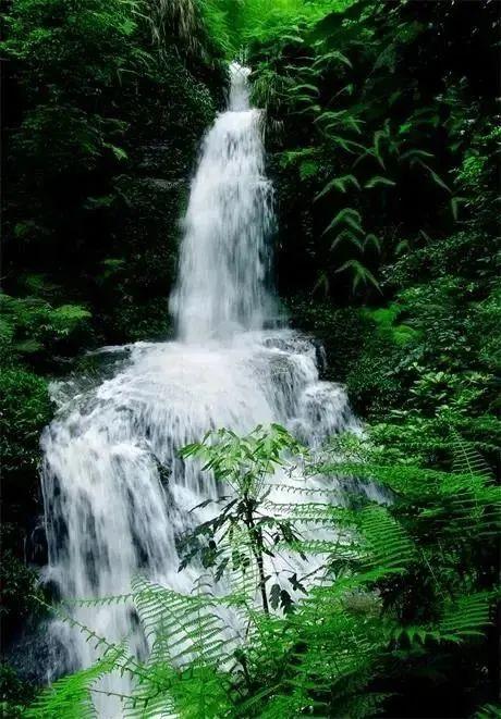 兴文县景点，兴文县旅游局（兴文发布四大主题旅游线路）