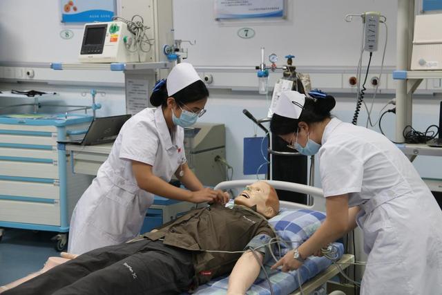 广东医学院护理学院，广东医学院护理学院怎么样（打造同类院校一流、特色鲜明的“新医科”专业集群）