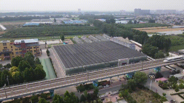 石家庄千年古城，走进县城看发展，千年古城