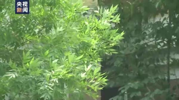 降水的类型与成因，降水的类型与成因分析（本轮降雨如何发展）