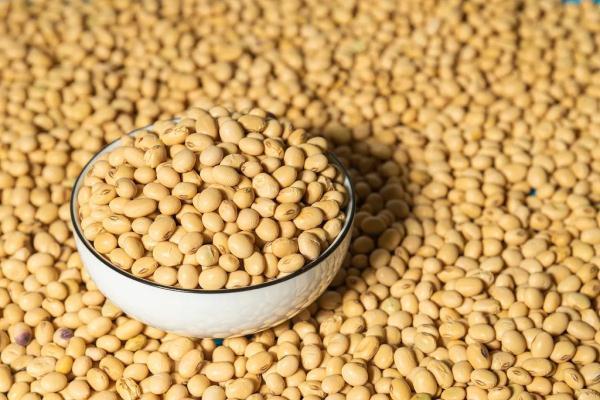 盐的保质期限是几年，食用盐的保质期限是几年（这6种食品没有“保质期”）